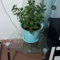 میز با گلدان