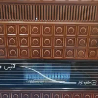 بخاری آدنیس(مشهدکولر )