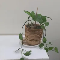 ۳۰ متر ۱ خوابه تمیز