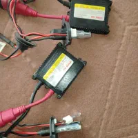 هدلایت، زنون