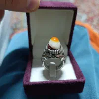 دو عدد انگشتر نقره باباقوری و شجر