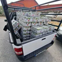 وانت بار حمل انواع بار به سراسر کشور|خدمات حمل و نقل|دوگنبدان, |دیوار