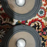 میدرنج ۸اینج فولت فلزی اصل سالم