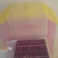 قفس|لوازم جانبی حیوانات|ایلام, |دیوار