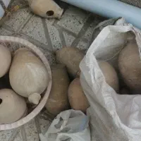 کوزه پرنده