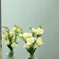 همکاری با نیروی متعهد و باتجربه در مرکز زیبایی