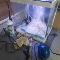 آکواریوم با تمام متعلقات