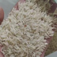 برنج بشرط .خوش عطر بو.|خوردنی و آشامیدنی|گنبد کاووس, |دیوار