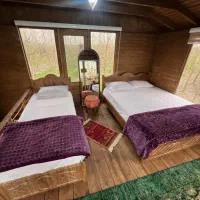 فرصتی برای زندگی در سطح دیگر