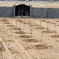 بازدید برابر باخریدزمین باغی۵۳۵متری با آب سندملکی|فروش زمین و ملک کلنگی|مشهد, عبادی|دیوار