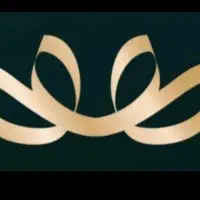 همیان گلد L8297EXI