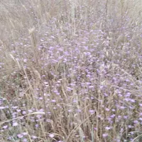 علف فروشی مشگین شهر روستای کاظم آباد|حیوانات مزرعه|مشگین شهر, |دیوار