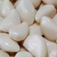 کارگر ساده خانم|استخدام صنعتی، فنی، مهندسی|بهار, |دیوار