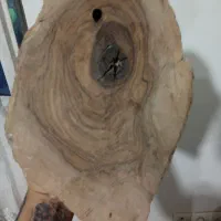 اشک چوب|مجسمه، تندیس، ماکت|تهران, خاک سفید|دیوار