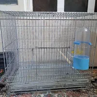 قفس