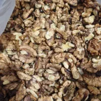 فروش مغز گردو تازه تویسرکان|خوردنی و آشامیدنی|اسلامشهر, شهرک قائمیه|دیوار