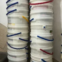 سطل سس ماست کاله