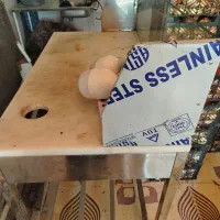 تخت کار قصابی و مرغی