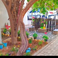 پانسیون-و-خوابگاه-دخترانه-رز