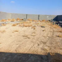 زمین کشاورزی ،باغی|فروش دفتر صنعتی، کشاورزی، تجاری|اصفهان, زیار|دیوار