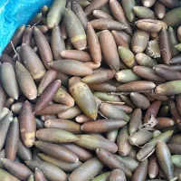 دو نیسان بلوط گونی گرفته درجه یک