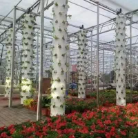 مشاور و اجرای گلخانه های مدرن طبقاطی بدون خاک nft|خدمات باغبانی و درختکاری|تهران, جوادیه تهرانپارس|دیوار
