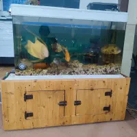 فروش اکواریوم