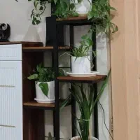 تولیدی استند گل و گلدان مدرن چند طبقه فلزی و چوبی|گل و گیاه طبیعی|اصفهان, طاحونه|دیوار