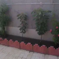 خانه ویلایی درارجمندی|فروش خانه و ویلا|مشگین شهر, |دیوار