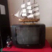 تلوزیون ۲۱ اینج کار کرده سالم با کنترل