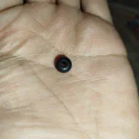 مهره اصل بودایی مهرها اصل انرژی|کلکسیون اشیاء عتیقه|کرمان, |دیوار