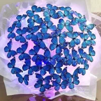 دسته گل پروانه چراغ دار|صنایع دستی و سایر لوازم تزئینی|داراب, |دیوار