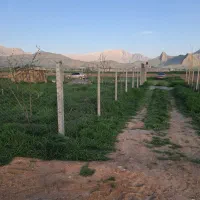 فروش زمین ۱۰۰۰ متری|فروش زمین و ملک کلنگی|کرمانشاه, |دیوار