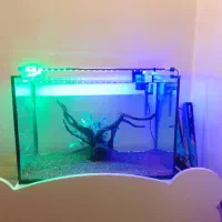 لامپ ال ای دی بسته نمک ۲۰ کیلویی و....