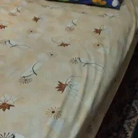 تخت خواب ۲ نفره ، فلزی ، مشکی رنگ ،  بفروش می‌رسد