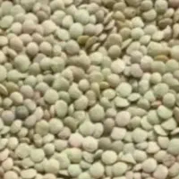 فروش خشکبار وحبوبات|خوردنی و آشامیدنی|صدرا-فارس, فاز ۱|دیوار