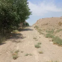 فروش ۳۳۰۰ متر  زمین  بر بزرگراه  شمالی کرج