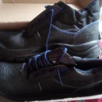 کفش|کیف، کفش، کمربند|شیدا, |دیوار