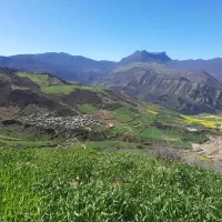 اجاره ویلا کوتاه مدت