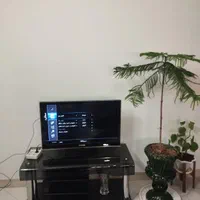 سوییت سوئیت آپارتمان خانه اجاره ای منزل|اجارهٔ کوتاه‌مدت آپارتمان و سوئیت|مشهد, موسوی قوچانی|دیوار
