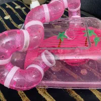 خانه بازی همستر
