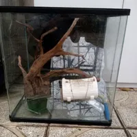 آکواریوم شیشه خم