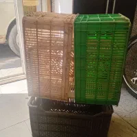 سبد سالم محکم