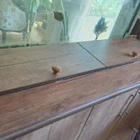 آکواریوم شیشه خم|ماهی|فردیس, شهرک راه آهن|دیوار