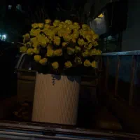 گل آرایی|گل و گیاه طبیعی|مشهد, شهید احمدی روشن|دیوار