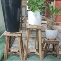 استند گل|گل و گیاه طبیعی|شیراز, شهرک ترکان|دیوار