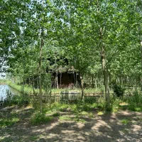 به دنیای آرامش و لوکس نشینی خوش آمدید|فروش خانه و ویلا|نهاوند, |دیوار