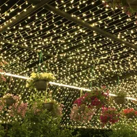 ریسه سوزنی آفتابی 25 متری|ریسه و چراغ تزئینی|ارومیه, |دیوار