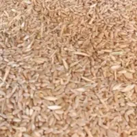 گندم آبی|عمده‌فروشی|خنداب, |دیوار