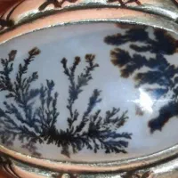 دوقاب 950 شجر شیشه ای ناب قائنات فوق کولکسیونی